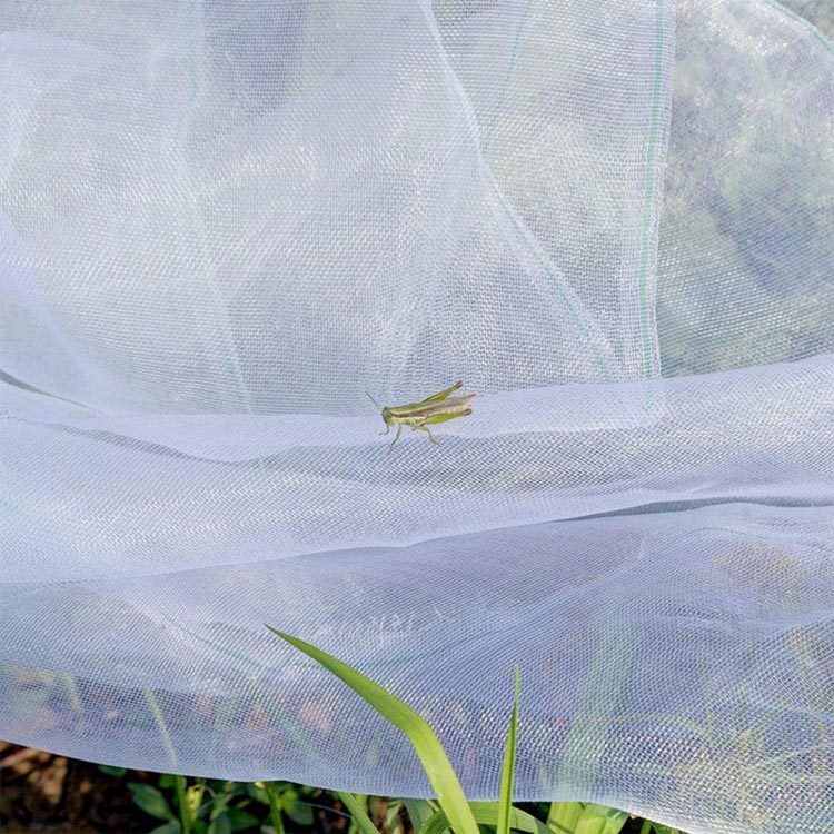 cuộn lưới ngăn chặn côn trùng nhà kính 50 mesh hàng Đài Loan
